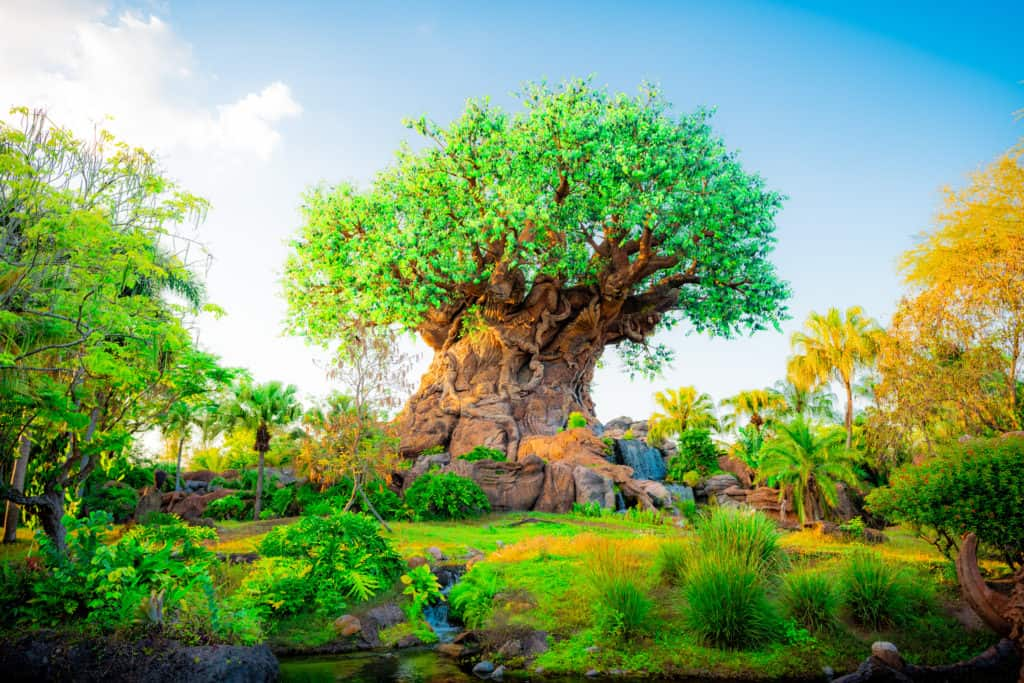 The Tree of Life on a clear day — Disney's Animal Kingdom in Bay Lake, Florida