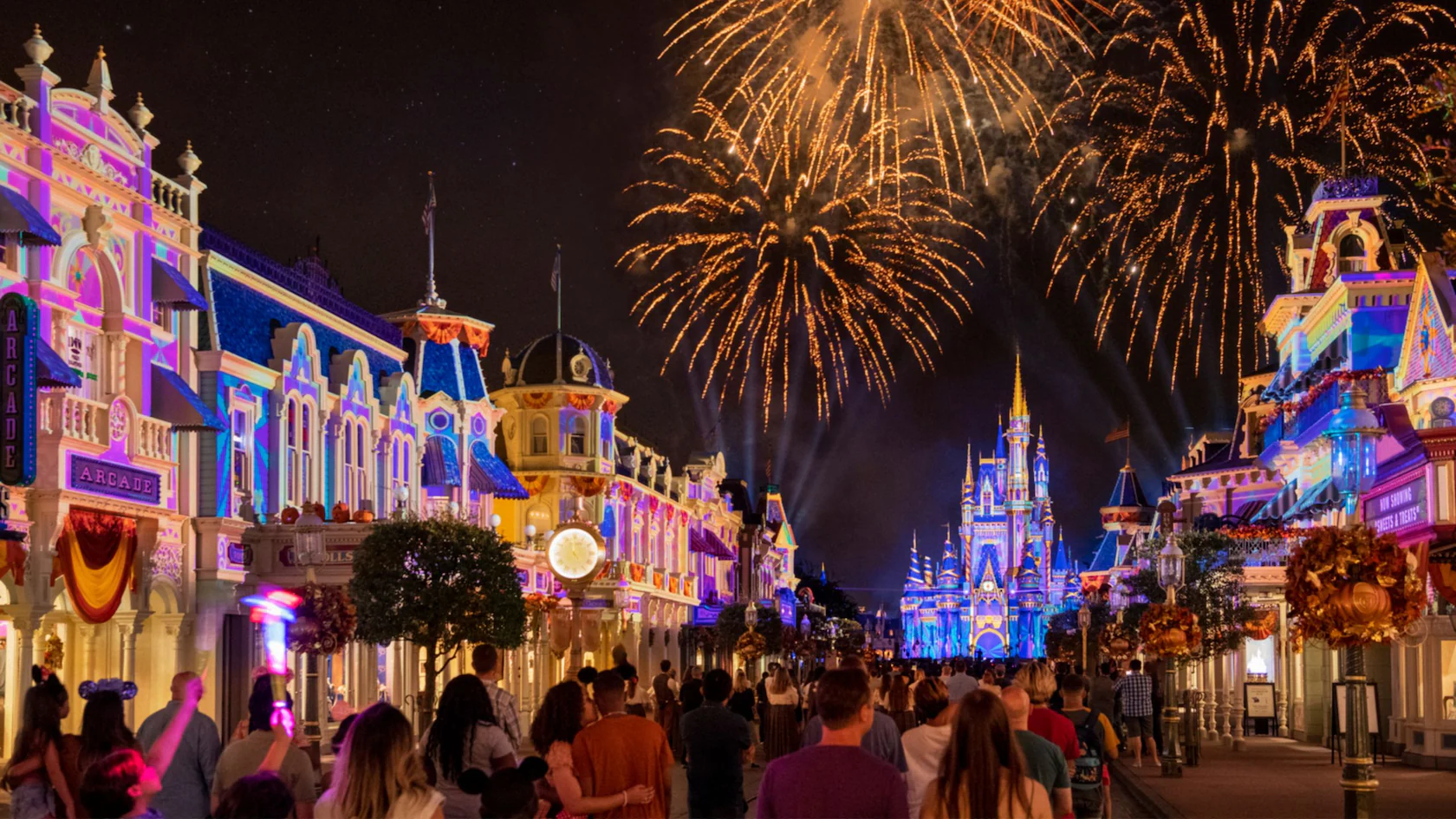 Magic Kingdom at Night