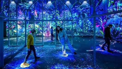 Interactive Luminous Garden Experience at Futuroscope