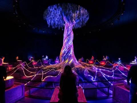 Interactive Illuminated Tree Installation — Futuroscope in Chasseneuil-du-Poitou