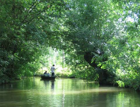 Marais Poitevin — Nature near Futuroscope