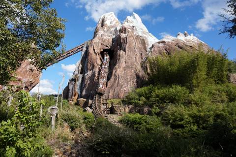 Train Descending the Slopes of Expedition Everest — Disney's Animal Kingdom in Bay Lake, Florida