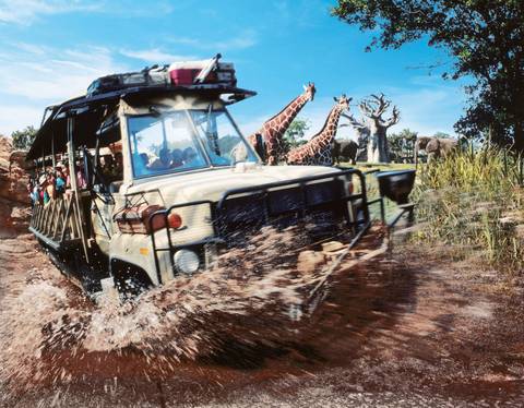Kilimanjaro Safaris Expedition Across the African Savanna — Disney's Animal Kingdom in Bay Lake, Florida