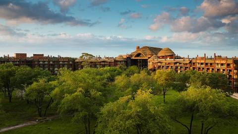 Savanna View of Disney's Animal Kingdom Lodge