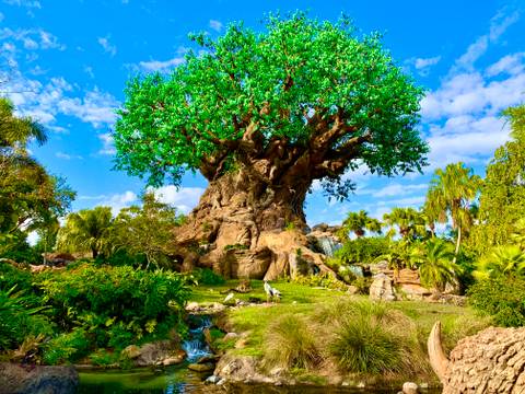 Disney's Animal Kingdom amusement park