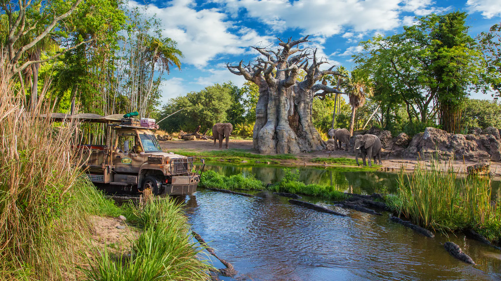 Kilimanjaro Safaris safari at Disney's Animal Kingdom