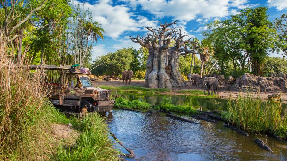 Kilimanjaro Safaris safari at Disney's Animal Kingdom