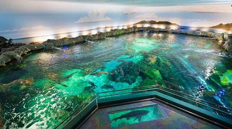 Ripley's Aquarium of Canada — Aquarium near Canada's Wonderland