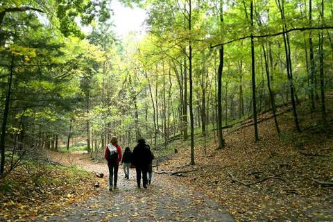 Kortright Centre for Conservation — Nature near Canada's Wonderland