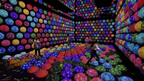 teamLab Planets Toyosu — Museum near Tokyo DisneySea