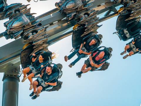 Thrills on The Swarm Wing Coaster — Thorpe Park in Chertsey, Surrey