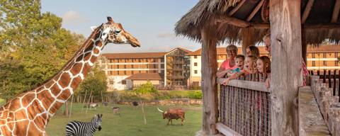 Chessington World of Adventures Zoo — Zoo near Thorpe Park