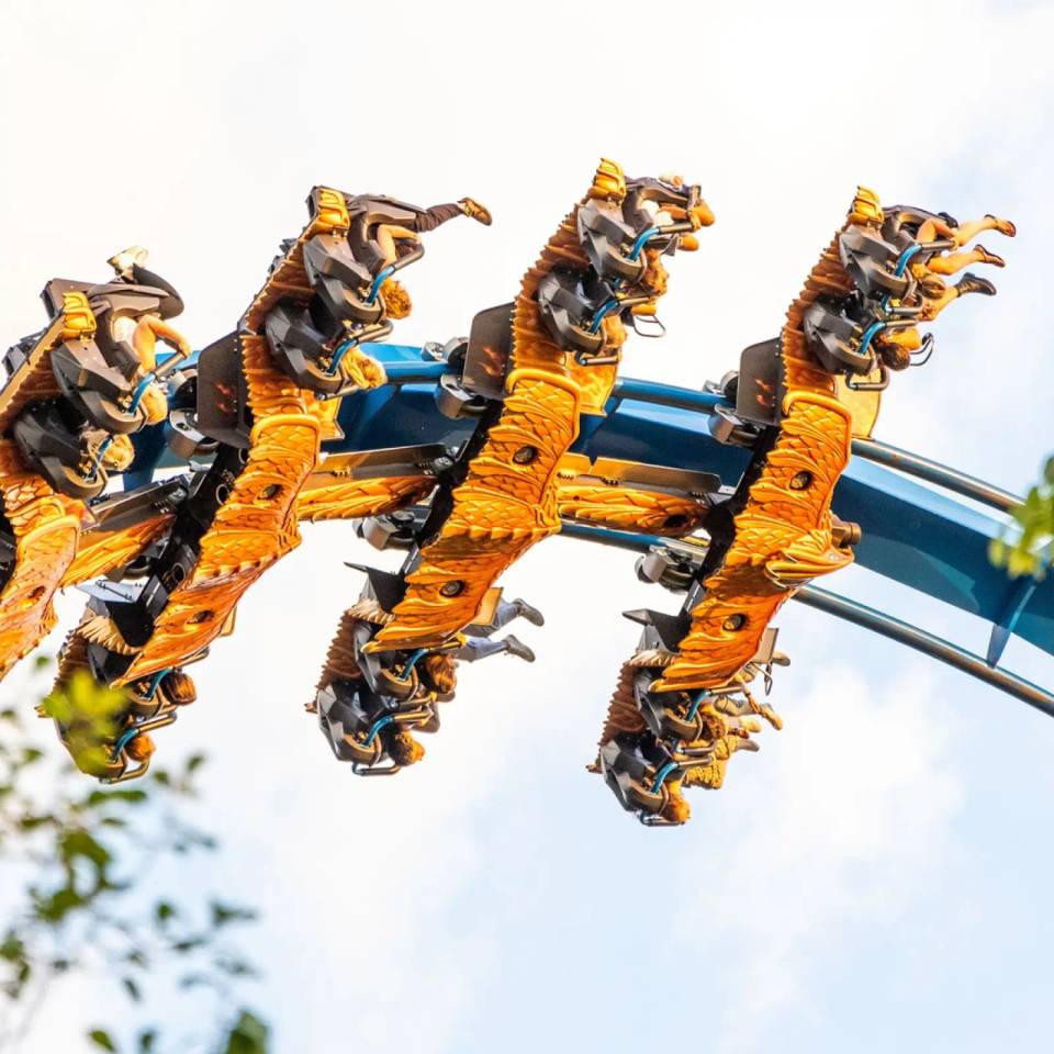 Fenix at Toverland