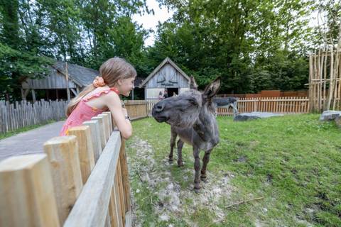 GaiaZOO Kerkrade — Zoo near Toverland