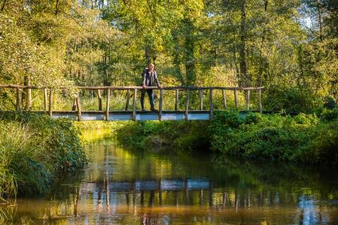 Nationaal Park De Meinweg — Nature near Toverland