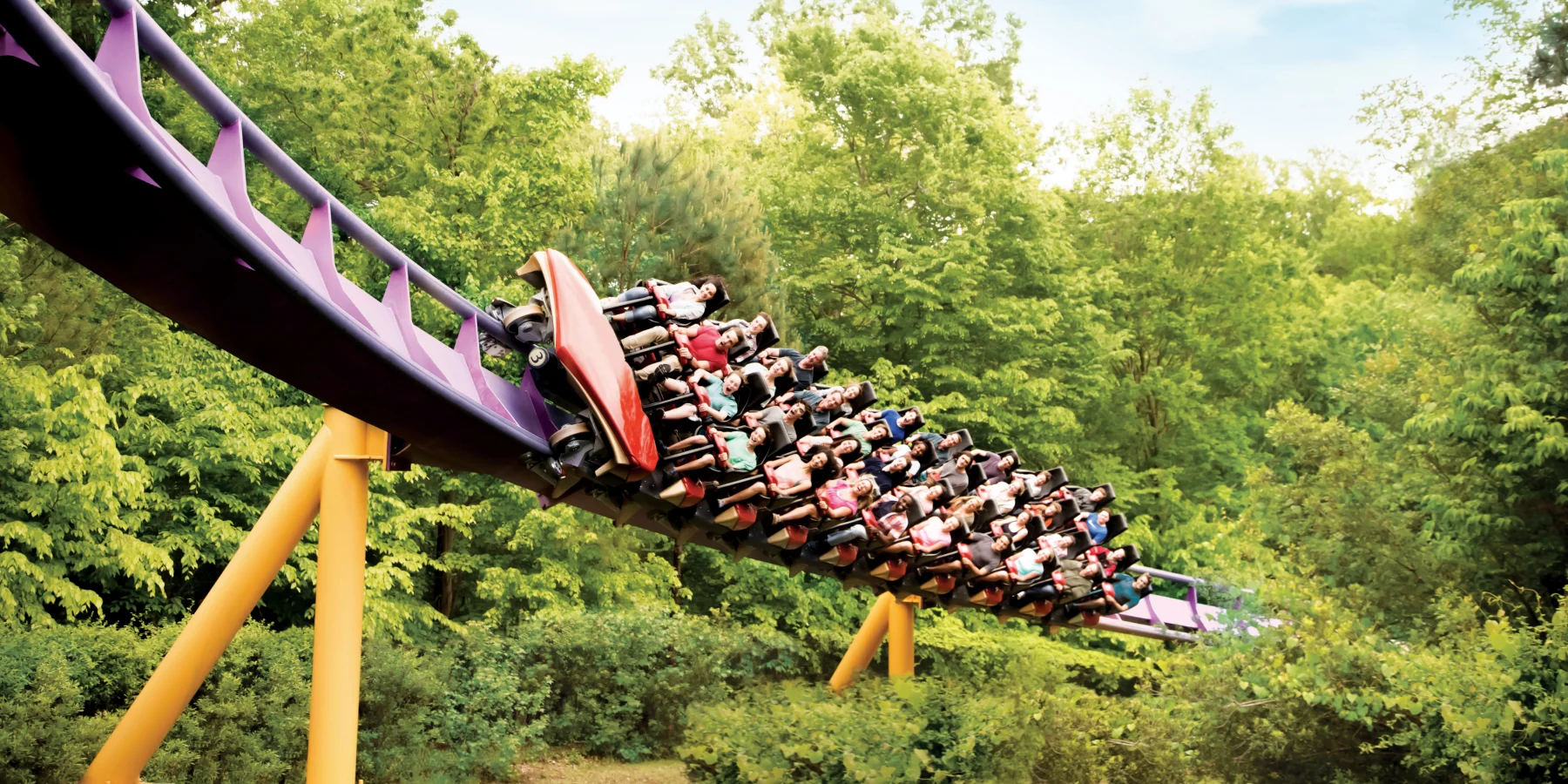 Apollo's Chariot at the park