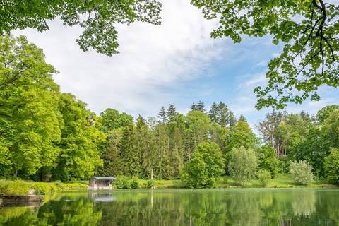 Forêt d'Ermenonville — Nature near Parc Astérix