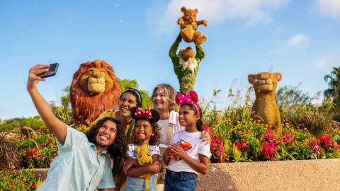 The Lion King Topiaries at Flower & Garden Festival