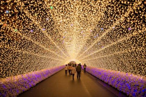 Nabana no Sato — Nature near Nagashima Spa Land