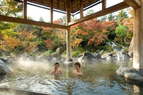 Yuami no Shima Onsen — Entertainment near Nagashima Spa Land