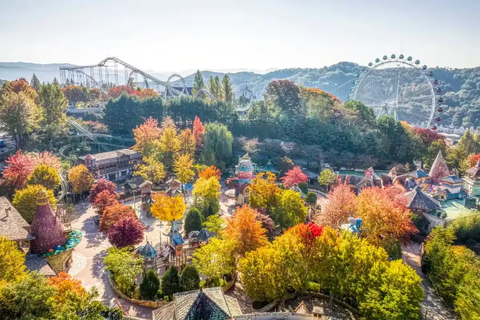 Autumn Foliage Across Everland's Magic Land