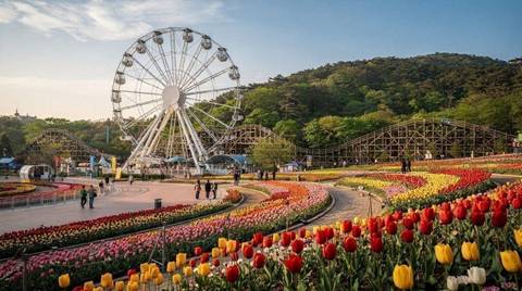 Four Seasons Garden with Ferris Wheel and T-Express — Everland in Yongin, Gyeonggi