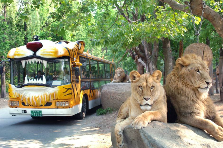 Safari World at Everland