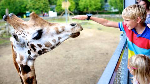 Parco Natura Viva — Zoo near Gardaland