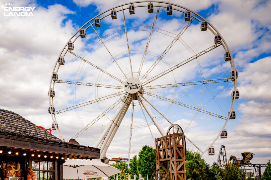 Ferris Wheel at the park