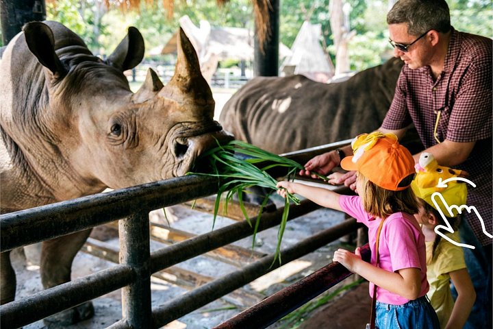 Krakow Zoo, a zoo near the park