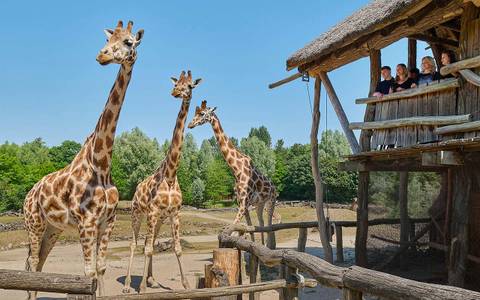 ZOOM Erlebniswelt Gelsenkirchen — Zoo near Movie Park Germany