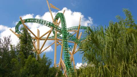 Towering Green Track of Cheetah Hunt — Busch Gardens Tampa Bay in Tampa