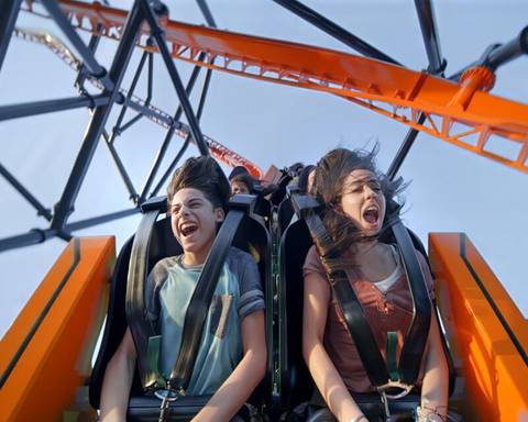 Riders Experiencing the Thrills of Tigris Roller Coaster — Busch Gardens Tampa Bay in Tampa