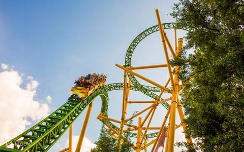 Cheetah Hunt Roller Coaster Racing Down the Track — Busch Gardens Tampa Bay in Tampa
