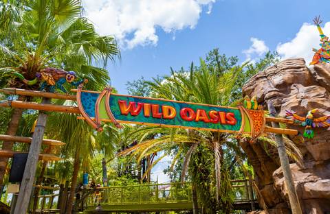 Wild Oasis Themed Realm Entrance — Busch Gardens Tampa Bay in Tampa