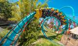 Busch Gardens Tampa Bay