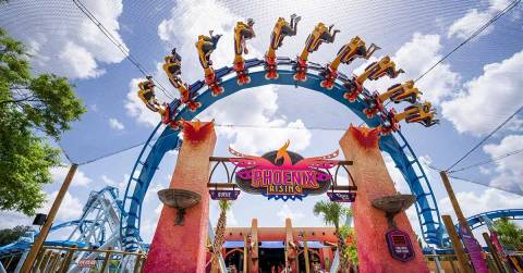 Phoenix Rising Roller Coaster Over Entrance Arch — Busch Gardens Tampa Bay in Tampa
