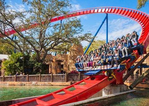 SheiKra Floorless Dive Coaster Splashdown — Busch Gardens Tampa Bay in Tampa
