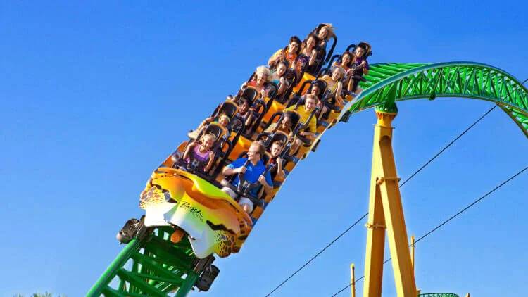 Cheetah Hunt at Busch Gardens Tampa Bay