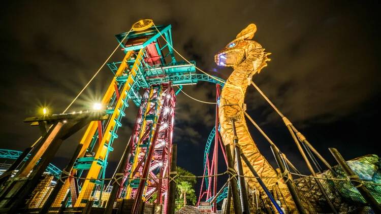 Cobra's Curse at Busch Gardens Tampa Bay