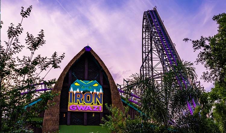 Iron Gwazi at Busch Gardens Tampa Bay