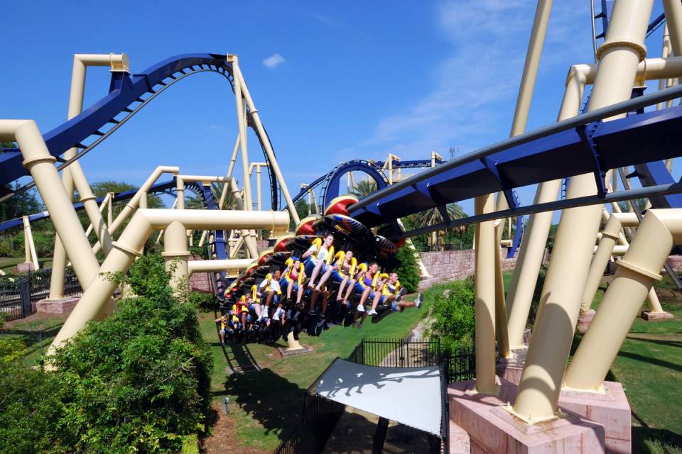 Montu at Busch Gardens Tampa Bay
