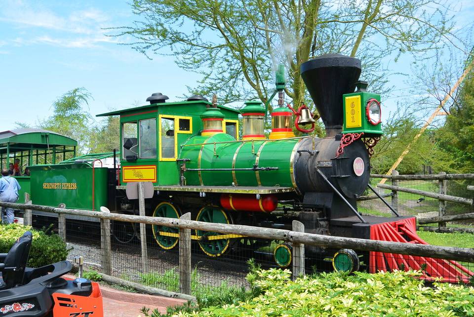 Serengeti Express Railway at Busch Gardens Tampa Bay