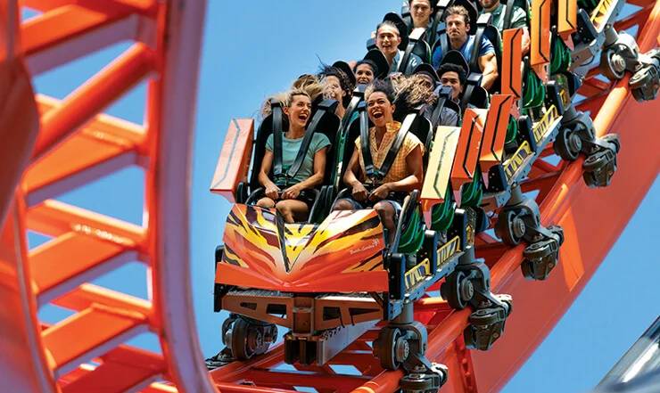 Tigris at Busch Gardens Tampa Bay
