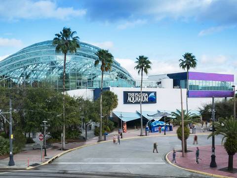The Florida Aquarium — Aquarium near Busch Gardens Tampa Bay