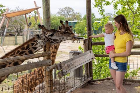 ZooTampa at Lowry Park — Zoo near Busch Gardens Tampa Bay