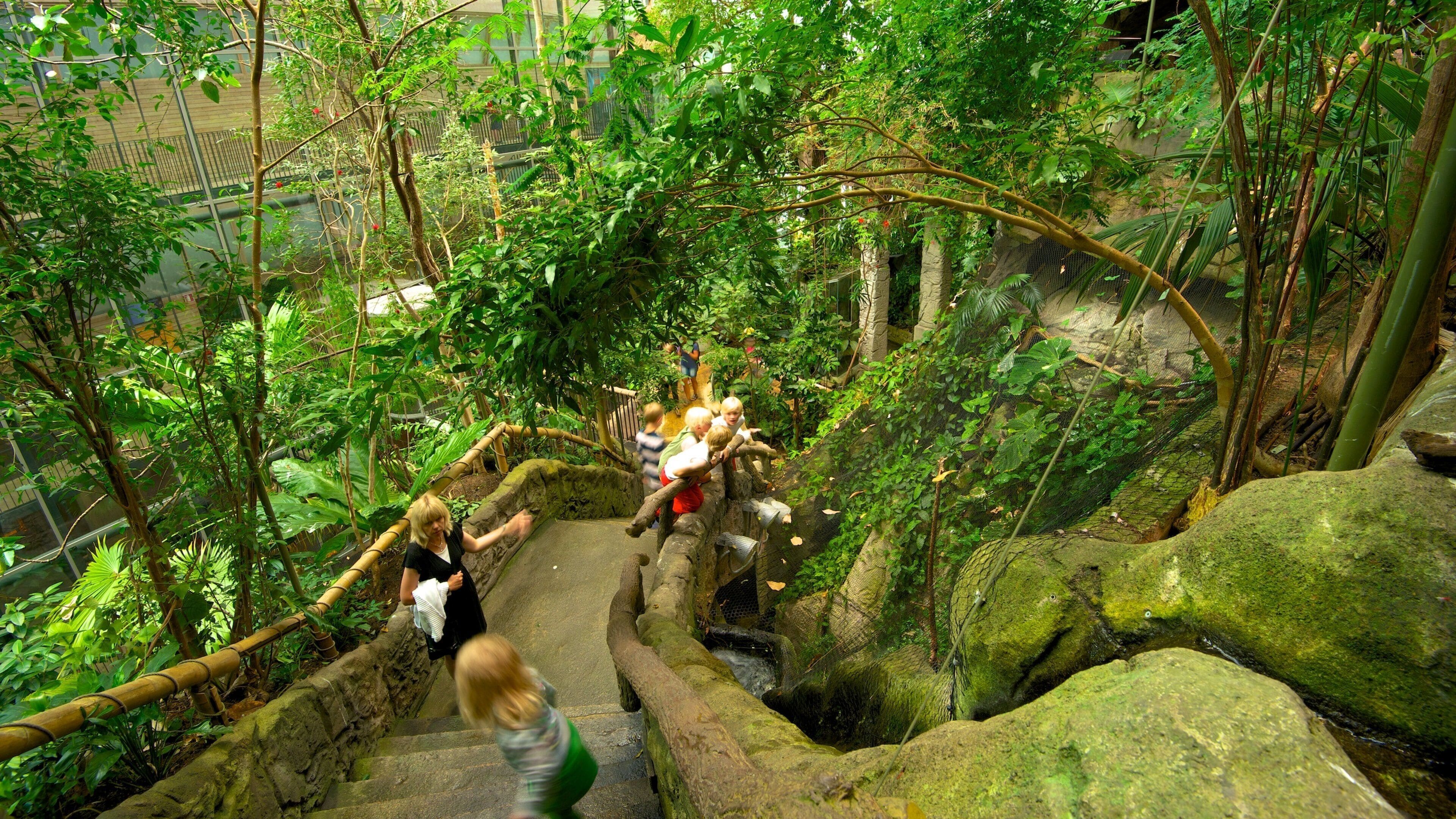 Universeum, a museum near the park