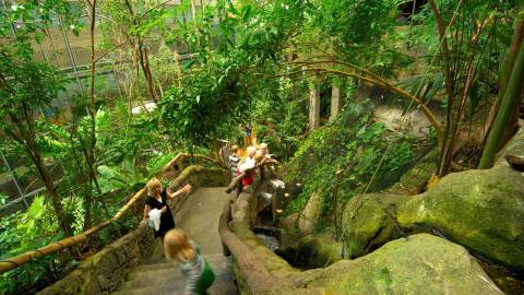 Universeum — Museum near Liseberg