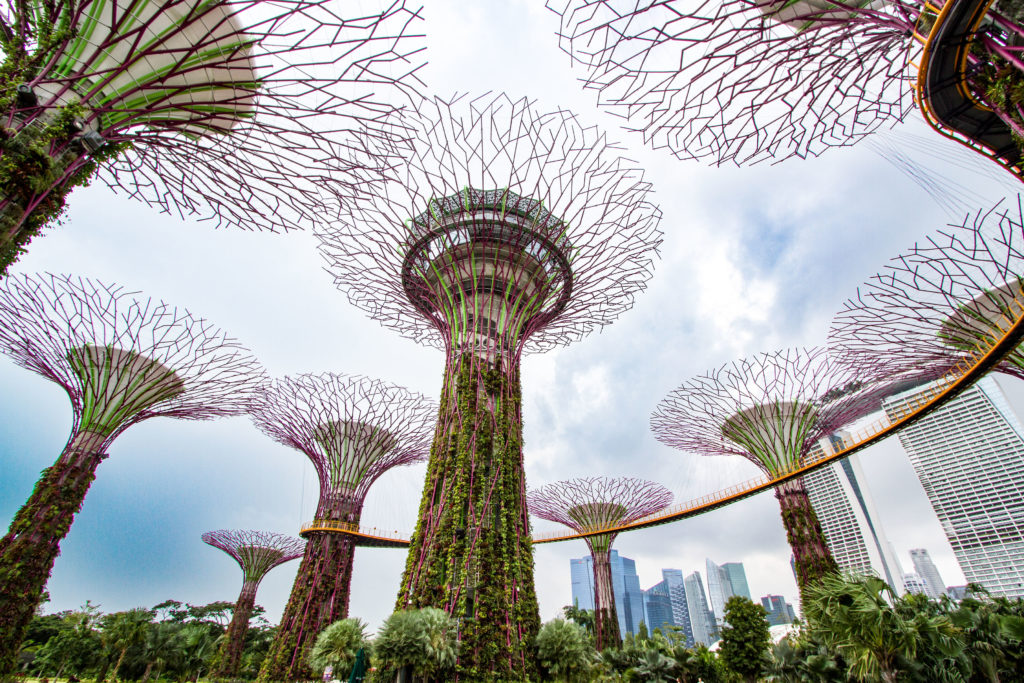 Gardens by the Bay, a nature near the park