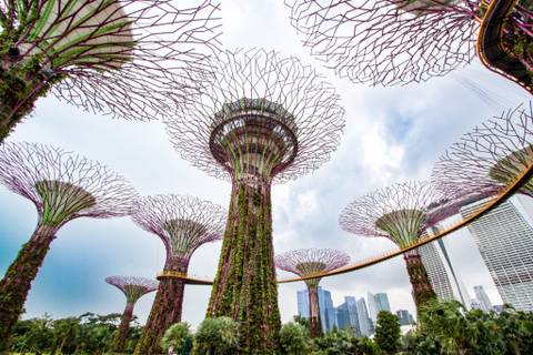 Gardens by the Bay — Nature near Universal Studios Singapore